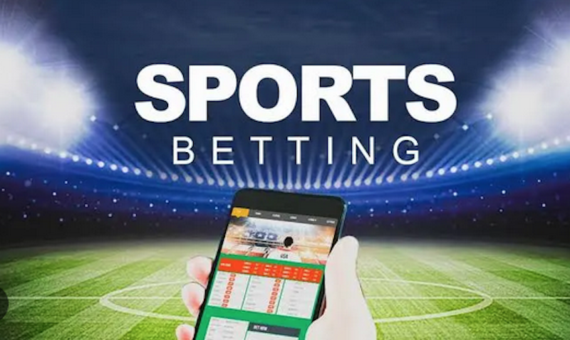 Safibets Your Ultimate Betting Experience Awaits 1811592719